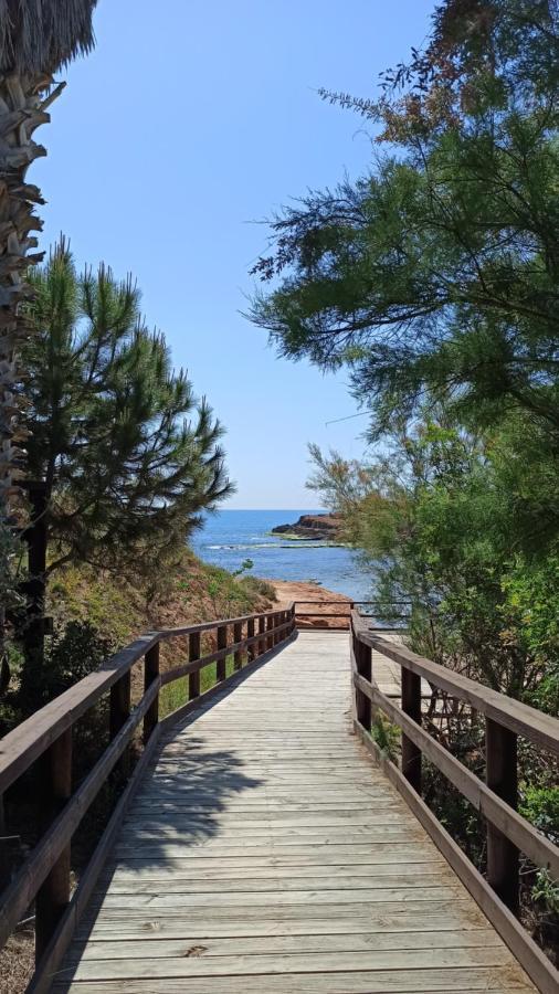 Apartment Only 250M From The Beach Los Locos 또레비에하 외부 사진